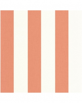 Basics, Linen Lines BAI 10404 40 24