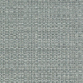 Tatami, Shasiko 50401