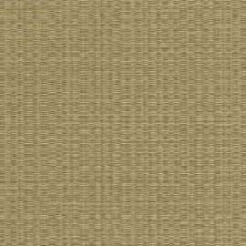 Tatami, Shasiko 50402