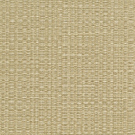 Tatami, Shasiko 50404