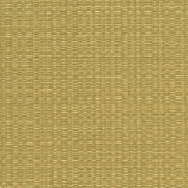Tatami, Shasiko 50407