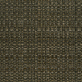 Tatami, Shasiko 50409