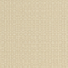 Tatami, Shasiko 50411