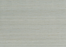 602 Jaipur, Soie Tropicale 6848