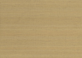 602 Jaipur, Soie Tropicale 6851