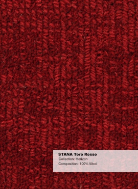Stana Toro Rosso