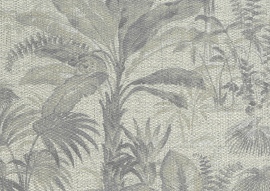 Forest, Tropical 50100
