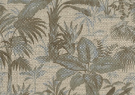 Forest, Tropical 50102