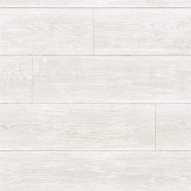 Edition 22 Horizons, Ulverstone Miso CL80403