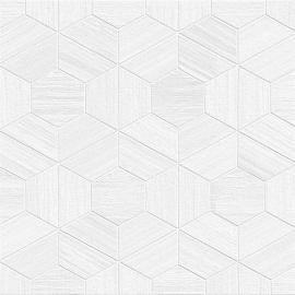 Edition 22 Horizons, Urquhart Coconut CL82202