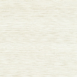 Panama, Musa VP 710 02