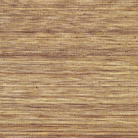 Panama, Musa VP 710 12