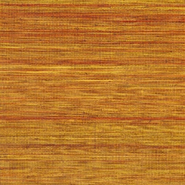 Panama, Musa VP 710 13