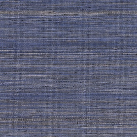 Panama, Musa VP 710 18