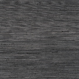 Panama, Musa VP 710 20