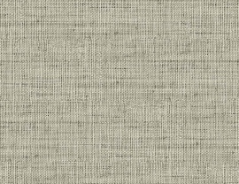 Raffia, Wild Bind RA40317